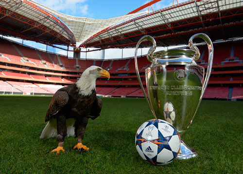 刷新中甲金靴进球纪录，姆本扎：自豪，队友的功劳和我一样大